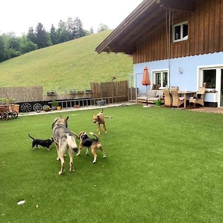 Urlaub Mit Hund Im Salzburger Land Apartment Wegscheid Ngoại thất bức ảnh